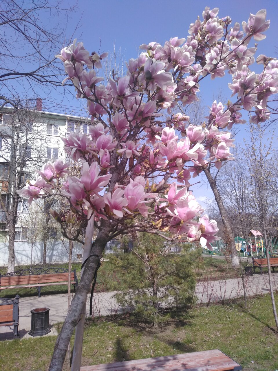 Гостиница Роза ветров Архипо-Осиповка-63