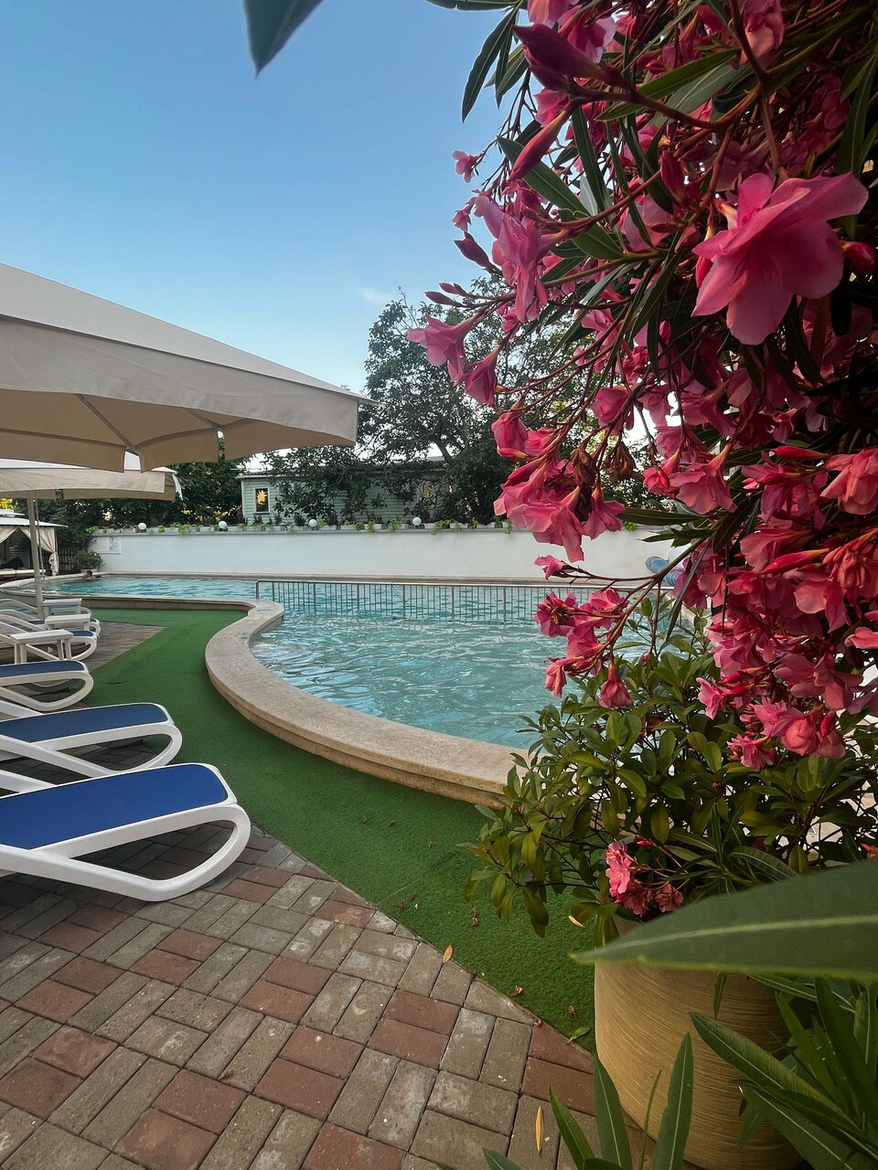 Гостиница Роза ветров Архипо-Осиповка-233