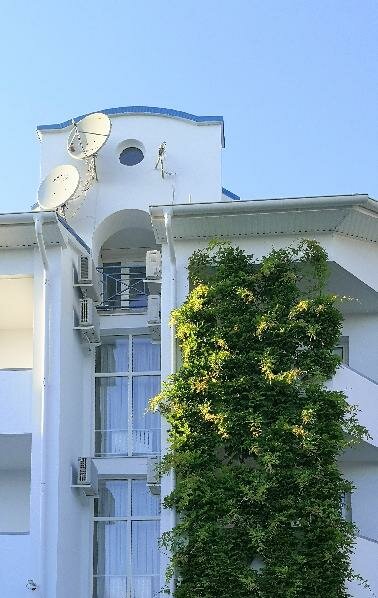 Гостиница Роза ветров Архипо-Осиповка-66