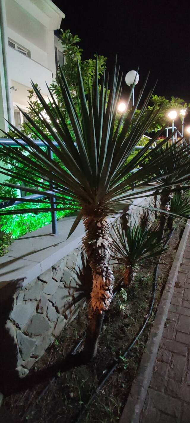 Гостиница Роза ветров Архипо-Осиповка-127