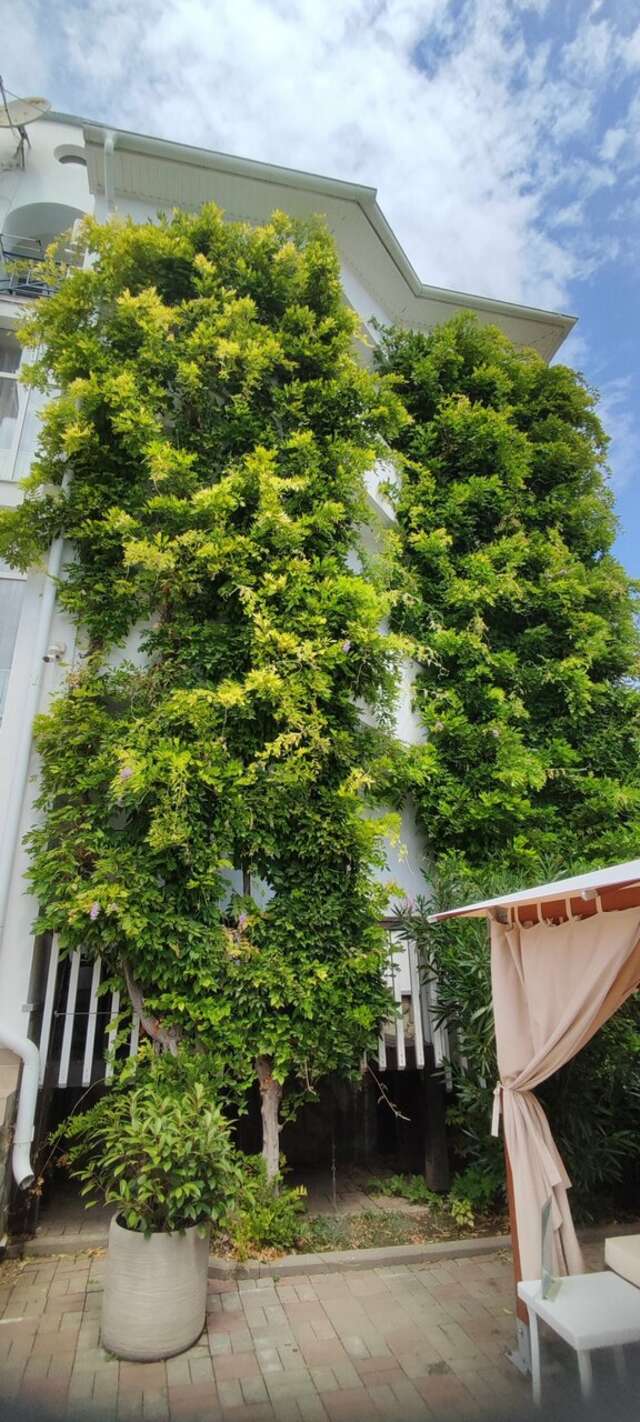 Гостиница Роза ветров Архипо-Осиповка-123